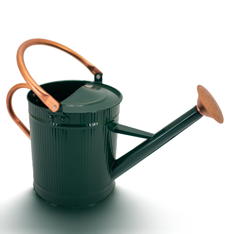 HORTICAN 1 Gallon watering can front view with durable galvanized metal finish for indoor and outdoor use.
