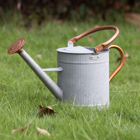 HORTICAN 1 gallon watering can with removable spout for easy indoor watering.