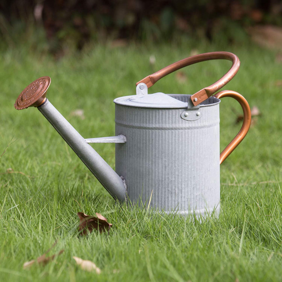 HORTICAN 1 gallon watering can with removable spout for easy indoor watering.