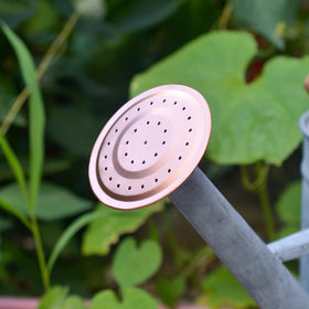 HORTICAN ergonomic handle provides a comfortable grip during watering.