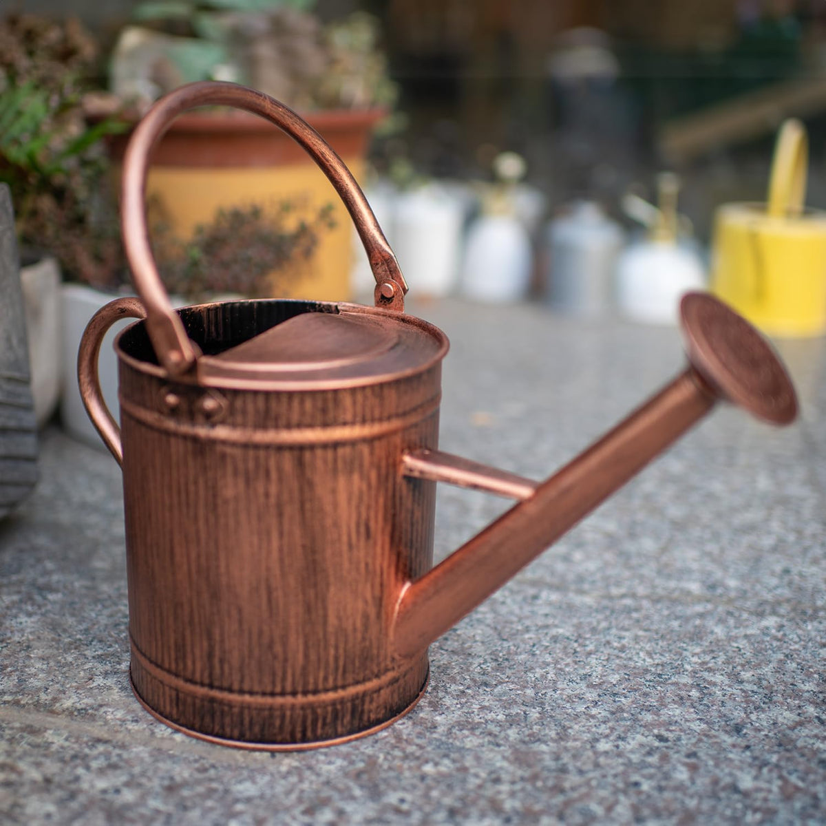 HORTICAN removable spout enables controlled watering for delicate plants.