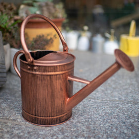 HORTICAN removable spout enables controlled watering for delicate plants.
