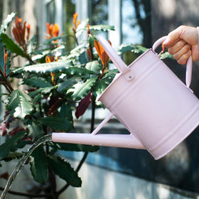HORTICAN floral design adds curb appeal to outdoor spaces
