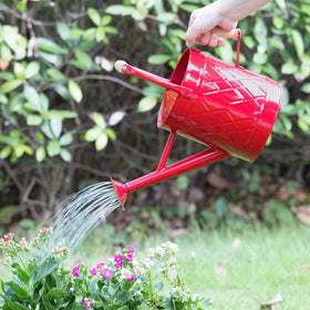 HORTICAN galvanized finish complements garden decor, suitable for indoor or outdoor display.