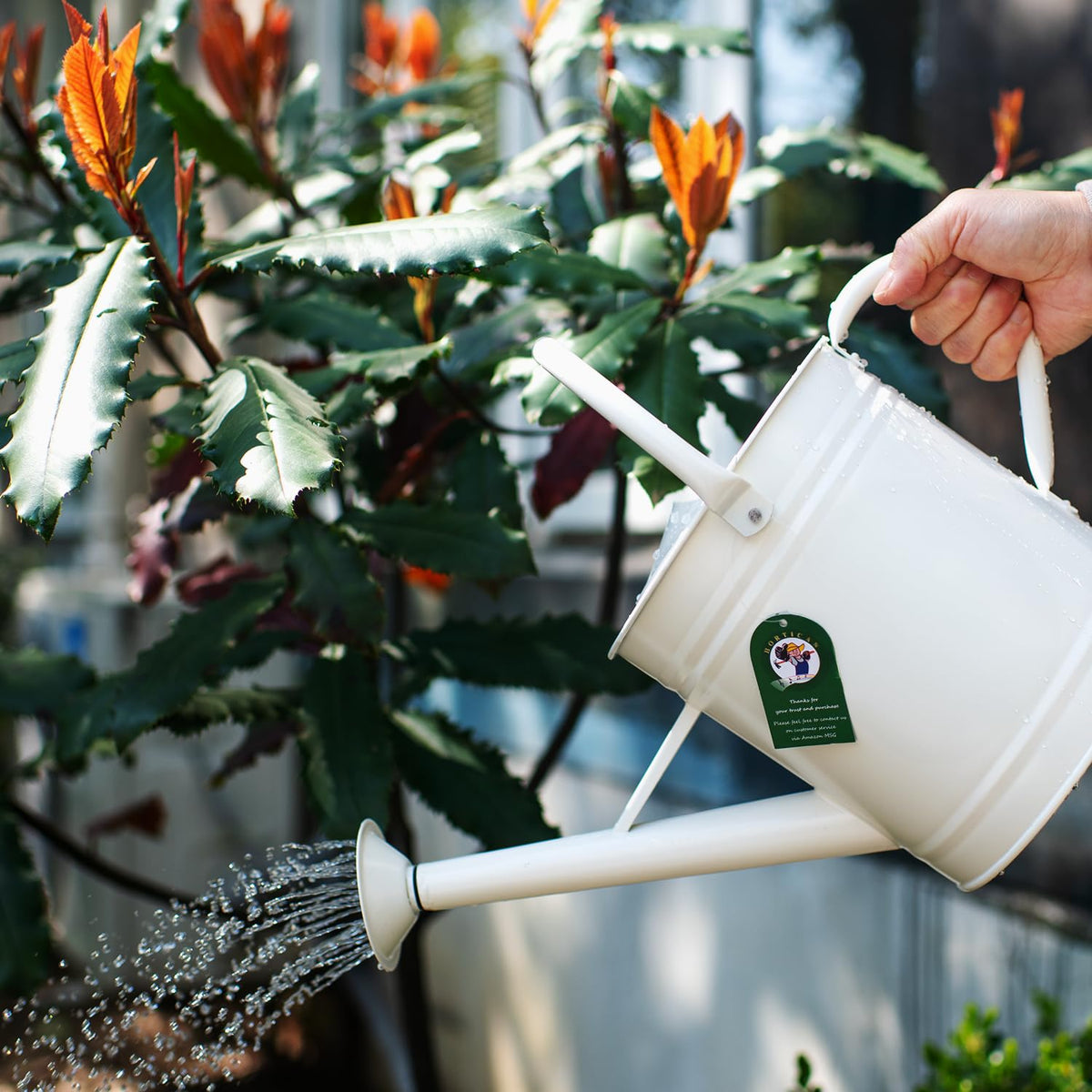 HORTICAN galvanized metal watering can resists rust for long-lasting outdoor watering