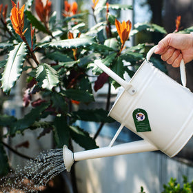 HORTICAN galvanized metal watering can resists rust for long-lasting outdoor watering