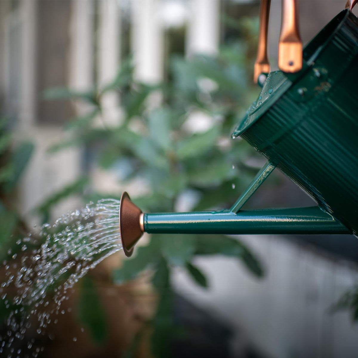 Galvanized metal HORTICAN jug-style watering can suitable for garden beds.