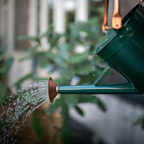 Galvanized metal HORTICAN jug-style watering can suitable for garden beds.