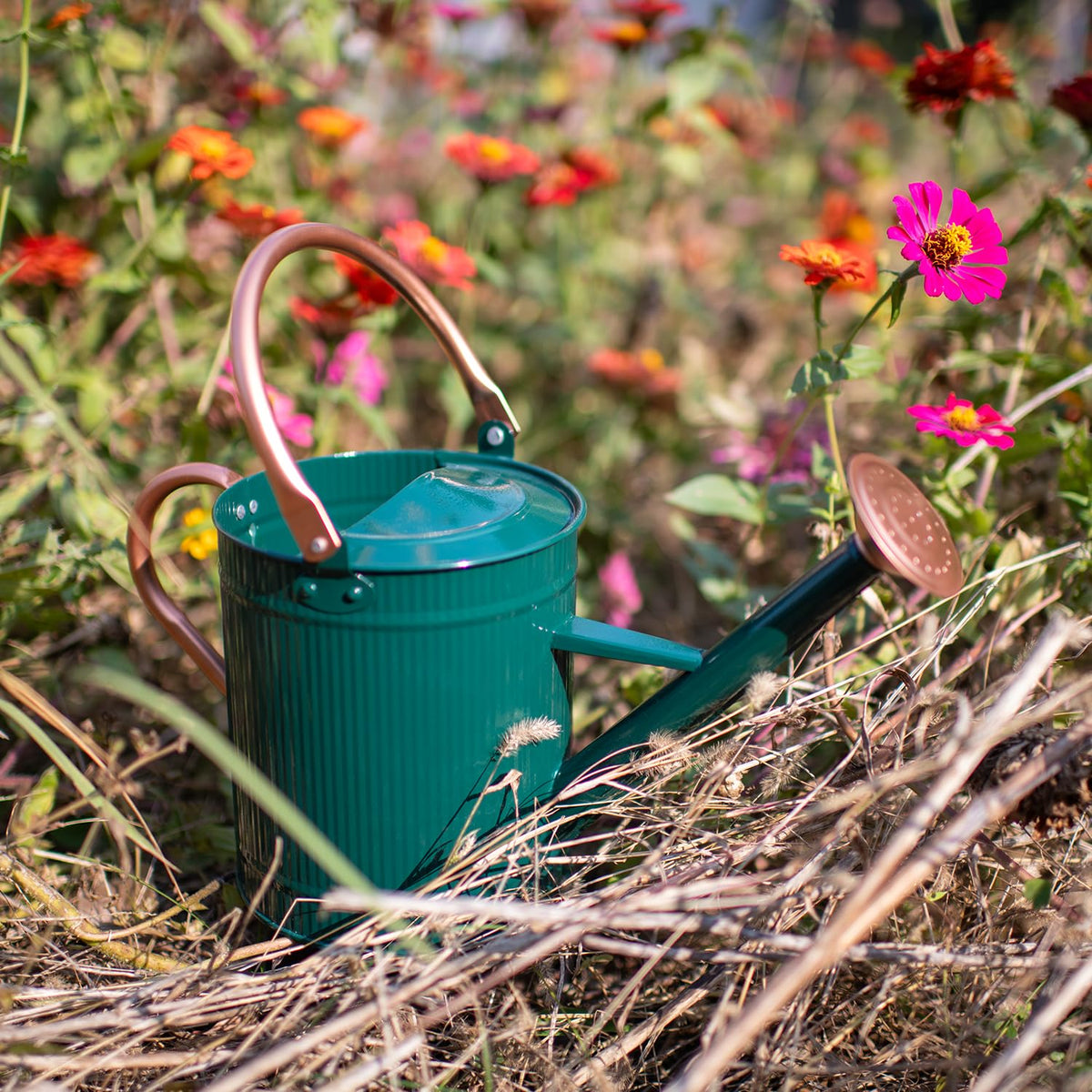 Indoor-outdoor decorative HORTICAN watering can displayed as a stylish garden accent.