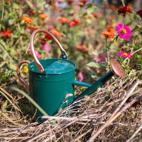 Indoor-outdoor decorative HORTICAN watering can displayed as a stylish garden accent.