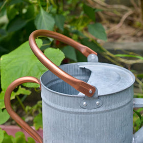 HORTICAN indoor-outdoor watering can blends style with practical plant care.