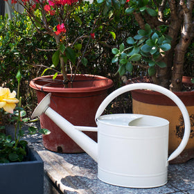 HORTICAN indoor and outdoor watering can enhances decor while meeting plant care needs