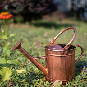 HORTICAN stylish watering can adds decorative charm to patios and shelves.