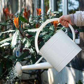 HORTICAN large-capacity 1.3 gal can reduces refills for bigger plant collections