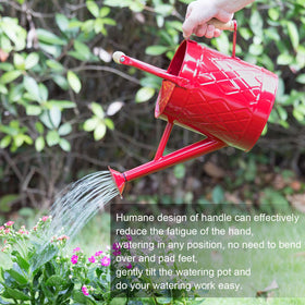 HORTICAN metal watering can close-up shows sturdy riveted handle and polished finish.