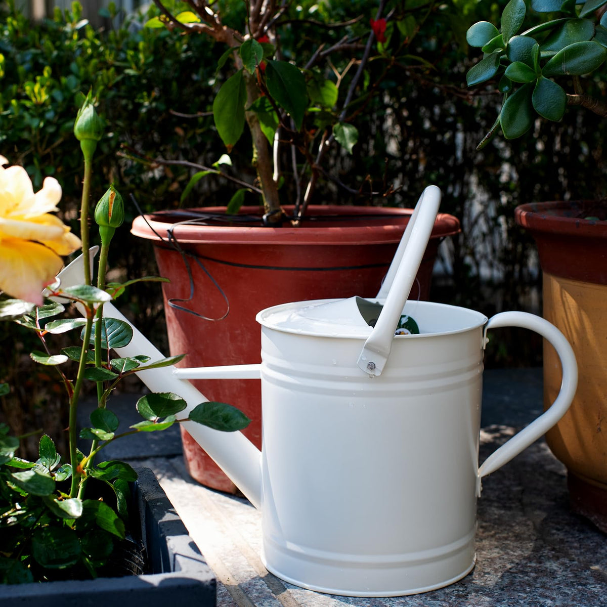 HORTICAN removable-spout watering can enables precise watering and easy cleaning