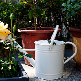 HORTICAN removable-spout watering can enables precise watering and easy cleaning
