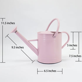 HORTICAN removable spout watering can enables precise watering and easy filling