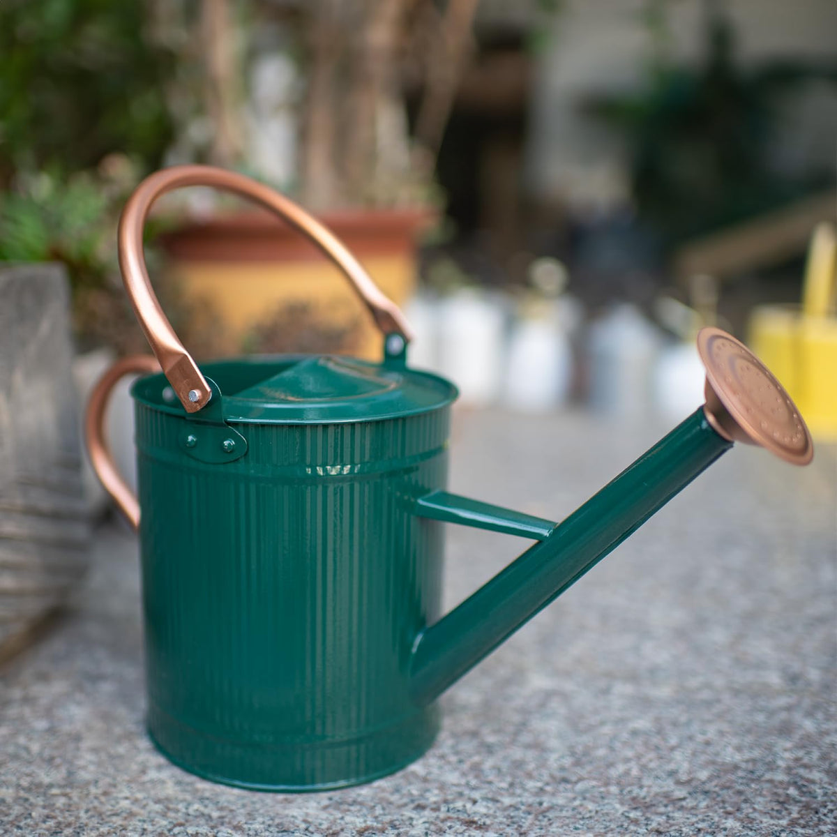 Removable spout on HORTICAN 1 Gallon watering can for easy filling and pour control.