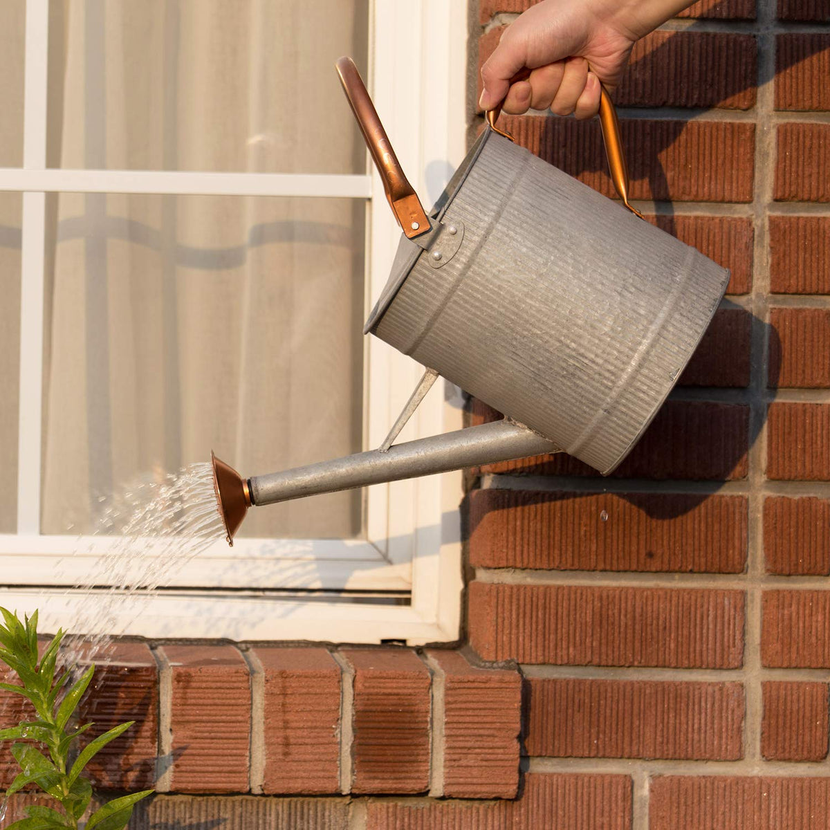 HORTICAN stylish metal can doubles as decor and watering indoors.