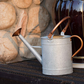 HORTICAN versatile design for watering and decorative display at home.