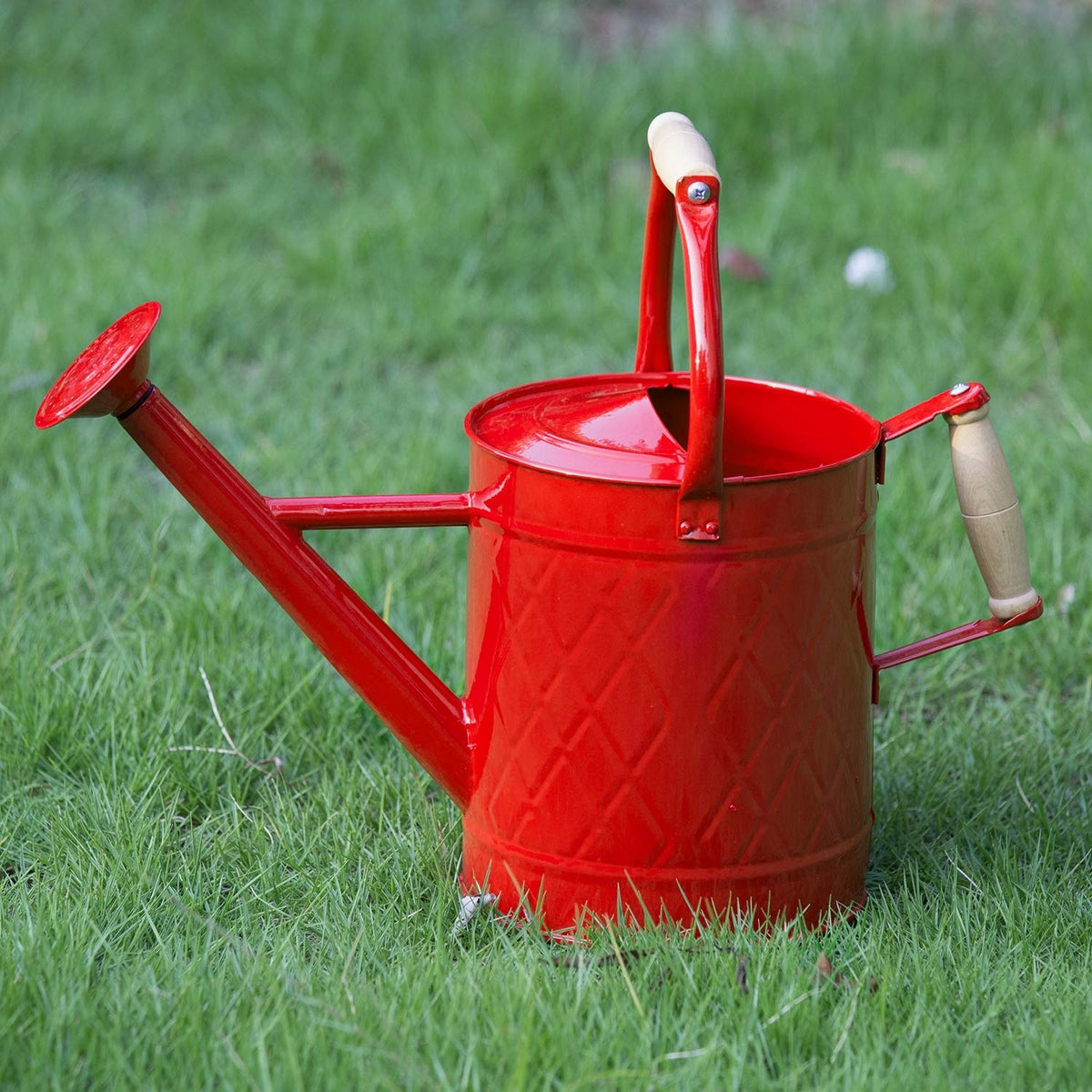 HORTICAN watering can one-gallon red, durable metal design for indoor and outdoor use.