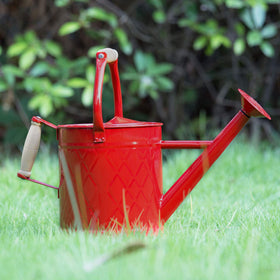 HORTICAN one-gallon can pouring gently onto potted plants.