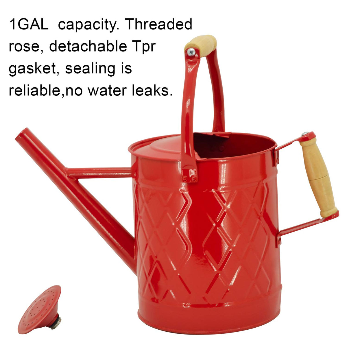 HORTICAN watering can with removable spout enables precise watering and easy cleaning.