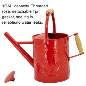 HORTICAN watering can with removable spout enables precise watering and easy cleaning.
