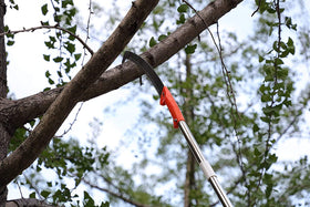 HOSKO pole saw suited for yards, gardens, and patios.