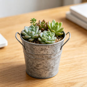 Hosley planters on a balcony perfect for small herbs and succulents.