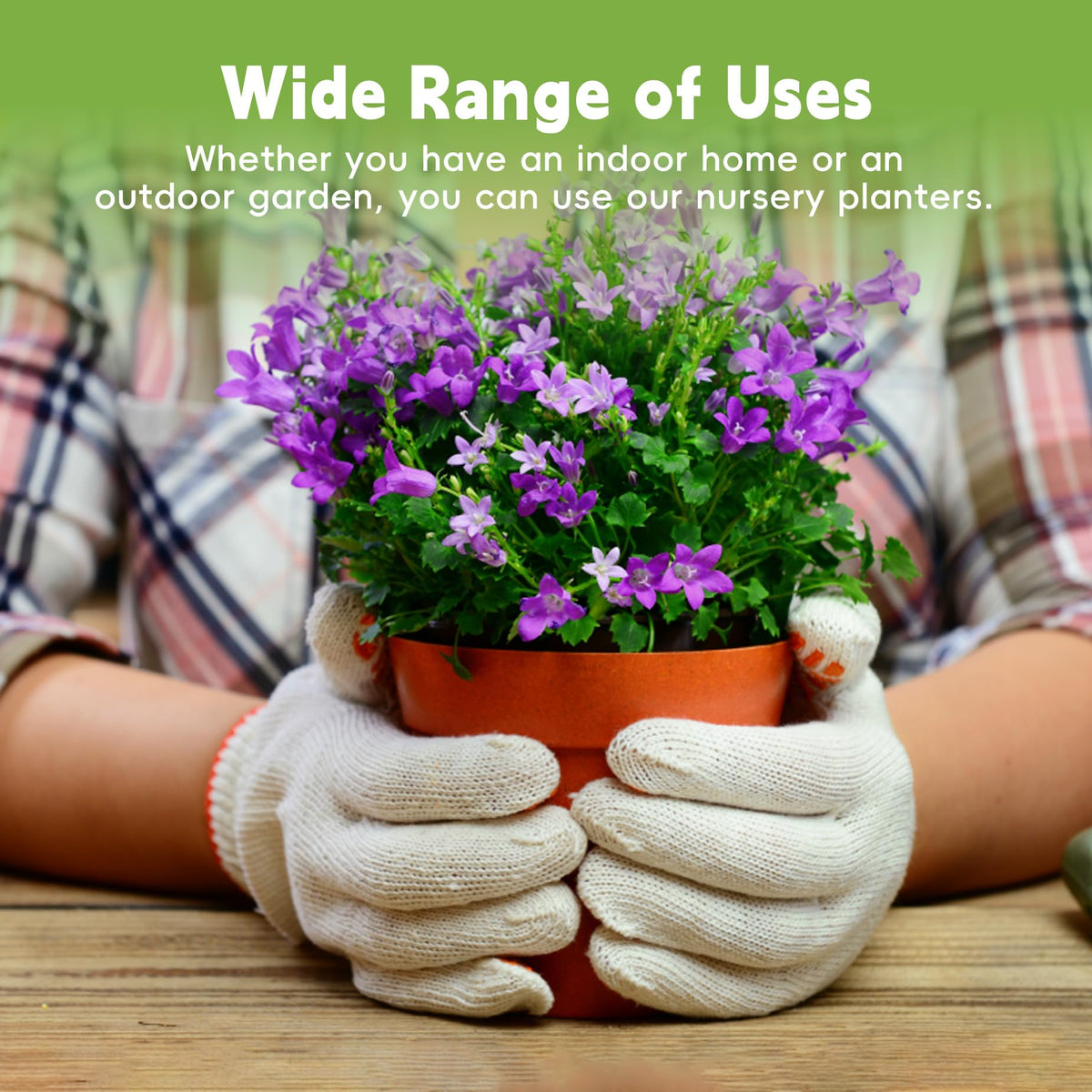 HOSTIC pot with drainage holes promotes airflow and prevents overwatering.
