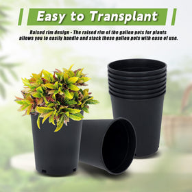 HOSTIC indoor and outdoor use suitable for flowers, vegetables, and seedlings