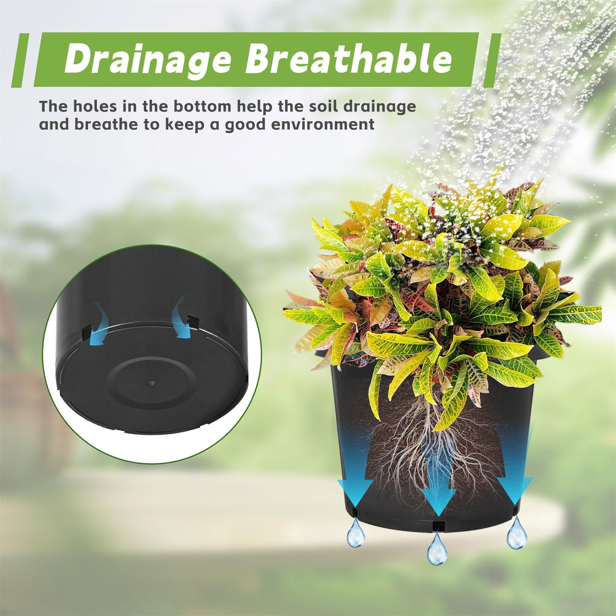 HOSTIC raised rim nursery pot eases stacking and handling in trays