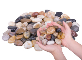 HOT SEAL river rocks close-up, natural polish ideal for indoor plant arrangements and aquariums