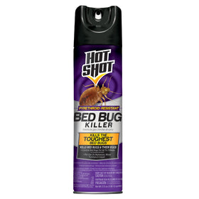 Hot Shot Bed Bug Killer aerosol bottle for quick contact kill.