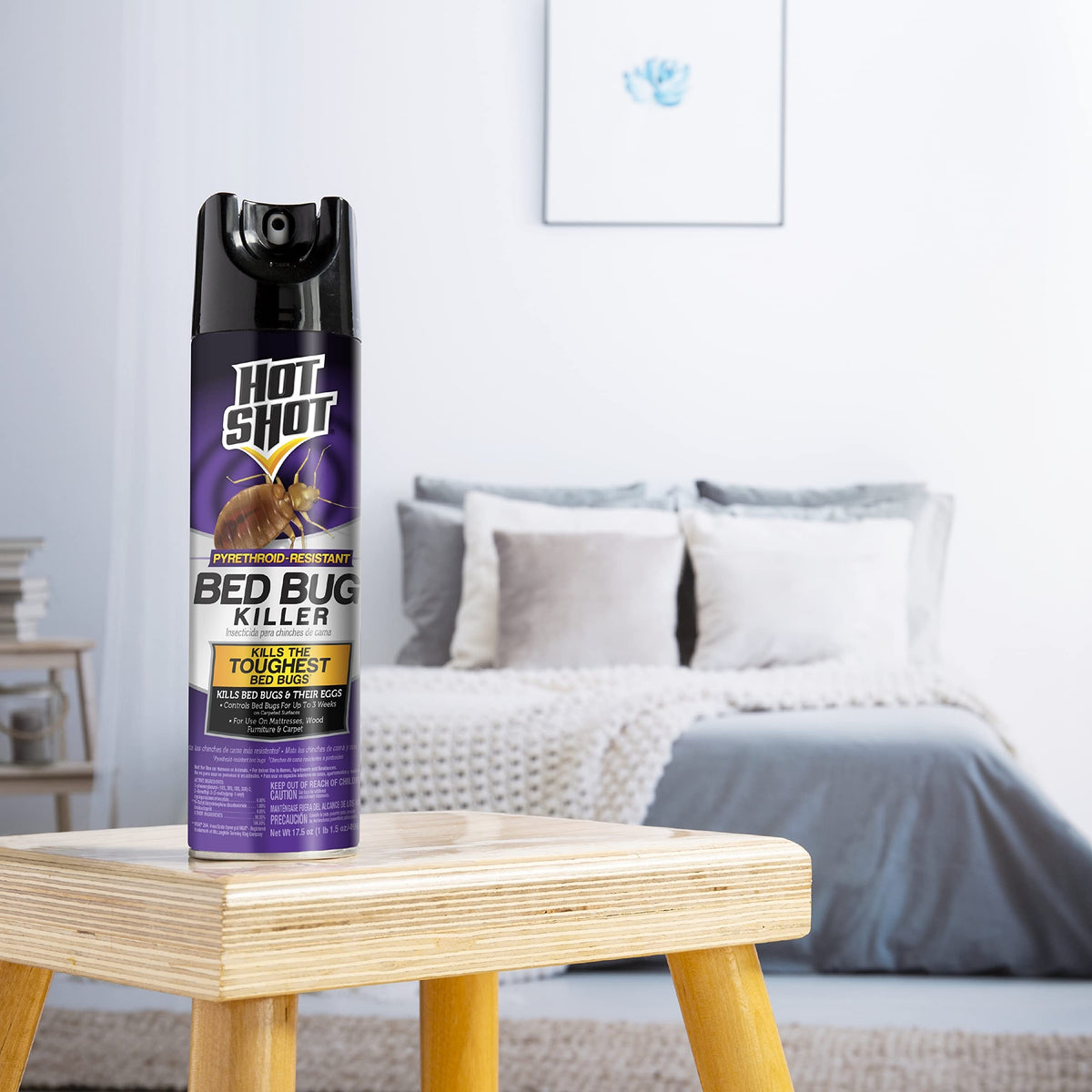 Hot Shot Bed Bug Killer aerosol for carpets, floors, and walls.