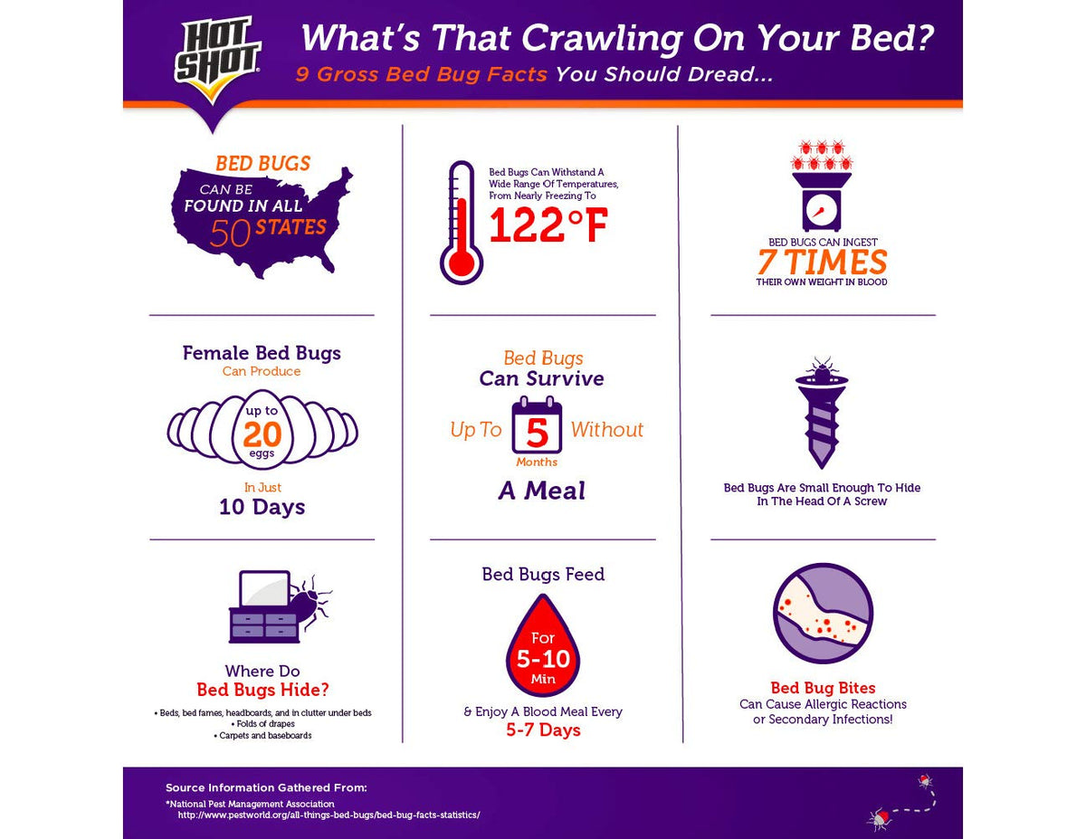Hot Shot Bed Bug Killer Dust supports a comprehensive pest management plan.