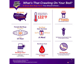 Hot Shot Bed Bug Killer Dust supports a comprehensive pest management plan.