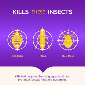 Hot Shot Bed Bug Killer egg kill action graphic demonstrates bed bug eggs control