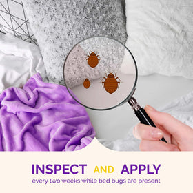 Hot Shot bottle used within a cycle based bed bug treatment plan