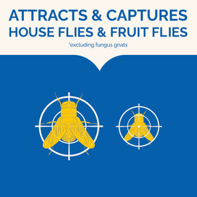Hot Shot Flying Insect Trap provides 24/7 attraction to reduce pests near kitchens.