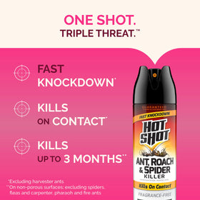 Fragrance-free Hot Shot formula for odor-free indoor use.