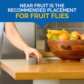 Hot Shot Flying Insect Trap near fruit attracts fruit flies effectively.