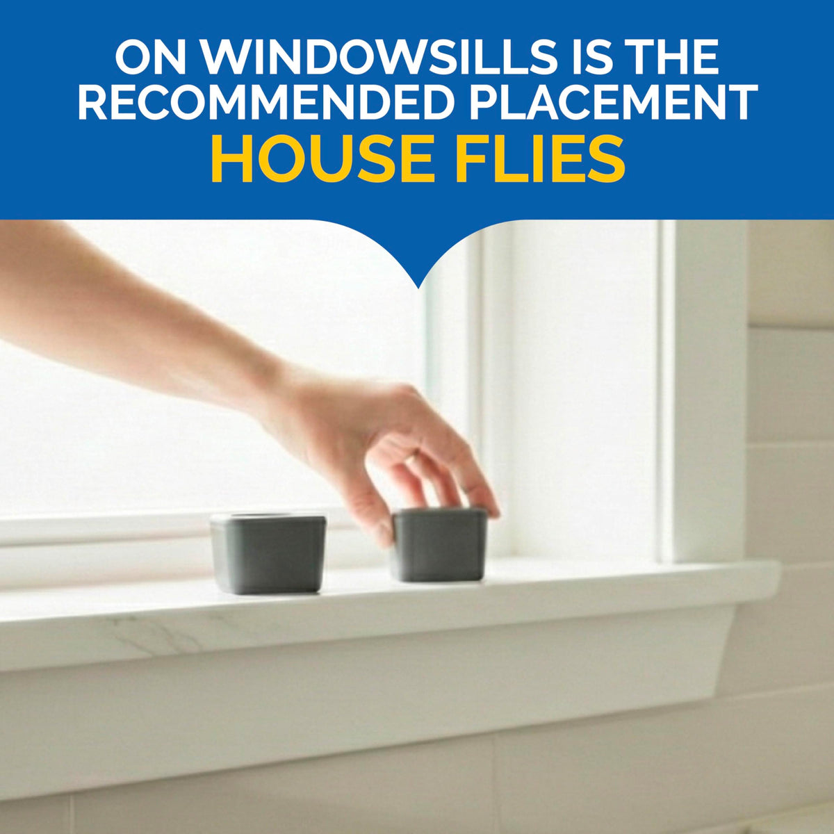 Hot Shot Flying Insect Trap on windowsill targets house flies with minimal mess.