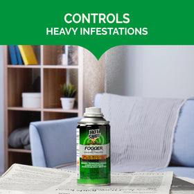 Hot Shot fogger kills roaches, flies, ants, and spiders on contact.