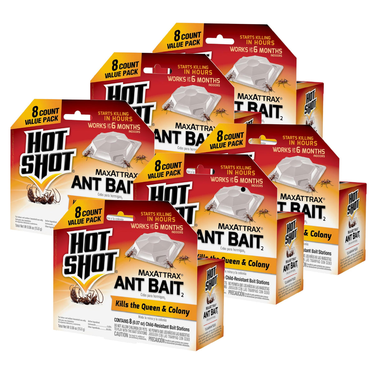 HOT SHOT MaxAttrax ant bait station along a wall targets trails for faster relief