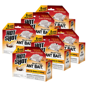 HOT SHOT MaxAttrax ant bait station along a wall targets trails for faster relief