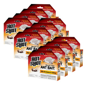 Hot Shot MaxAttrax bait stations along an ant trail attract nearby ants.