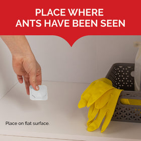 Four MaxAttrax bait stations placed near a cabinet to intercept ants.